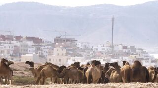 Imsouane - slow life: морская рыбалка в бухте и волны для серфа