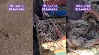 Essaouira, fishing life - снасти, лодки, рыбалка при ветре