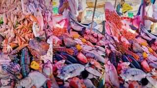 Essaouira fish market - как покупать и хранить улов