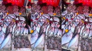 Эс-Сувейра: город для любителей моря, где морская рыбалка вкуснее?