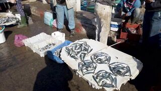 Эс-Сувейра и Атлантика: секретный рыбацкий порт Марокко