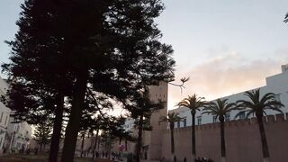 Эс-Сувейра и Атлантика: секретный рыбацкий порт Марокко