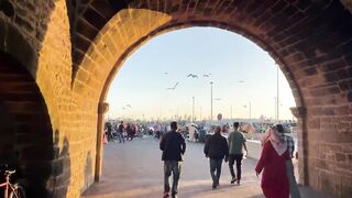 Эс-Сувейра на закате, порт живёт — где рыбалка работает вечером?