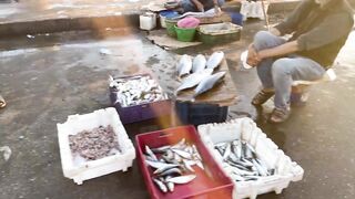 Эс-Сувейра на закате, порт живёт — где рыбалка работает вечером?