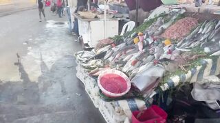 Эс-Сувейра на закате, порт живёт — где рыбалка работает вечером?