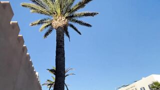 Эс-Сувейра на закате, порт живёт — где рыбалка работает вечером?