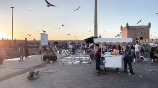 Эс-Сувейра на закате, порт живёт — где рыбалка работает вечером?