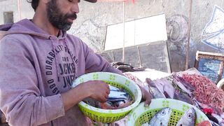 Essaouira seafood tour: рынок рыбы, жарим улов прямо у маркета