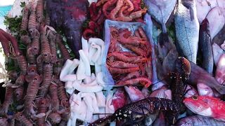 Essaouira seafood tour: рынок рыбы, жарим улов прямо у маркета