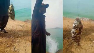 Safi fish на рынке — как выбрать свежего и где ловят его рядом