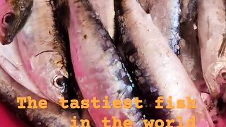 Safi fish, Марокко: почему эту рыбу так хвалят местные