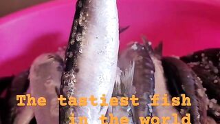 Safi fish, Марокко: почему эту рыбу так хвалят местные