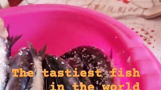 Safi fish, Марокко: почему эту рыбу так хвалят местные