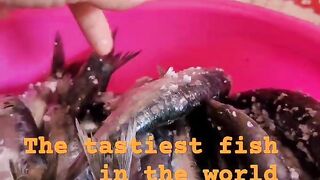 Safi fish, Марокко: почему эту рыбу так хвалят местные