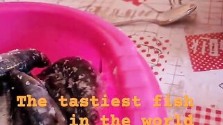 Safi fish, Марокко: почему эту рыбу так хвалят местные