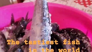 Safi fish, Марокко: почему эту рыбу так хвалят местные