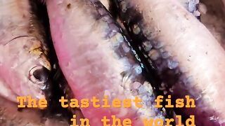 Safi fish, Марокко: почему эту рыбу так хвалят местные