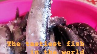 Safi fish, Марокко: почему эту рыбу так хвалят местные