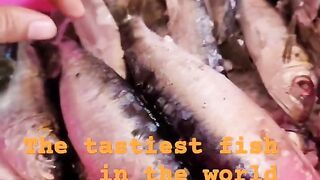 Safi fish, Марокко: почему эту рыбу так хвалят местные