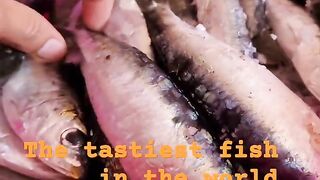 Safi fish, Марокко: почему эту рыбу так хвалят местные