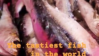 Safi fish, Марокко: почему эту рыбу так хвалят местные