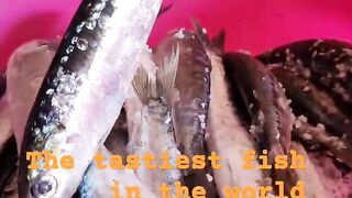 Safi fish, Марокко: почему эту рыбу так хвалят местные