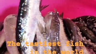 Safi fish, Марокко: почему эту рыбу так хвалят местные