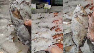 Safi — покупка сафы: когда рынок полон и где клюёт рядом