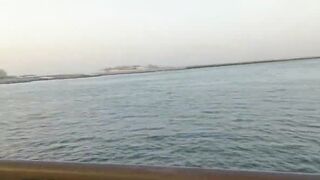 Dubai: как ловить safi, короткие советы по оснастке