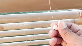 Dubai: как ловить safi, короткие советы по оснастке