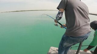 Safi fish спот — лучшая точка или просто удачный день?