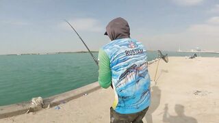 Safi fish спот — лучшая точка или просто удачный день?