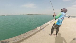 Safi fish спот — лучшая точка или просто удачный день?