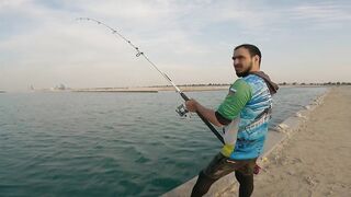 Safi fish спот — лучшая точка или просто удачный день?