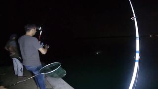 Safi fish спот — лучшая точка или просто удачный день?