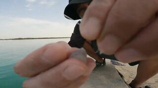 Safi fish спот — лучшая точка или просто удачный день?