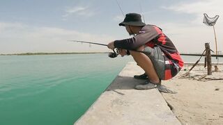 Safi fish спот — лучшая точка или просто удачный день?