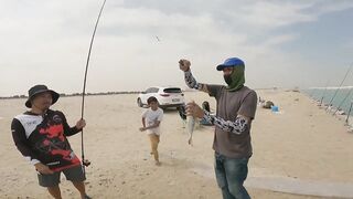 Safi fish спот — лучшая точка или просто удачный день?