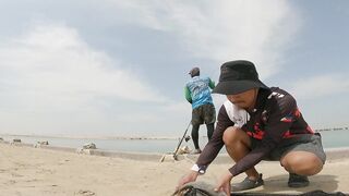 Safi fish спот — лучшая точка или просто удачный день?