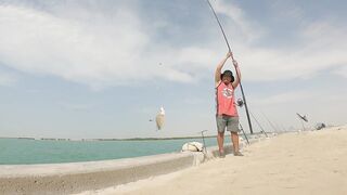 Safi fish спот — лучшая точка или просто удачный день?