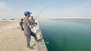 Safi fish спот — лучшая точка или просто удачный день?