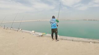 Safi fish спот — лучшая точка или просто удачный день?