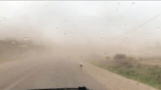 Casablanca spinning: loup bar на воблер, рыбалка у мола