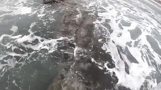 Casablanca spinning: loup bar на воблер, рыбалка у мола