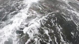 Casablanca spinning: loup bar на воблер, рыбалка у мола