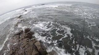 Casablanca spinning: loup bar на воблер, рыбалка у мола