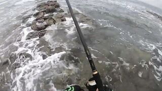 Casablanca spinning: loup bar на воблер, рыбалка у мола