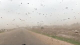 Casablanca spinning: loup bar на воблер, рыбалка у мола