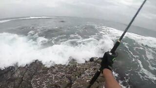 Casablanca spinning: loup bar на воблер, рыбалка у мола