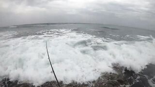 Casablanca spinning: loup bar на воблер, рыбалка у мола